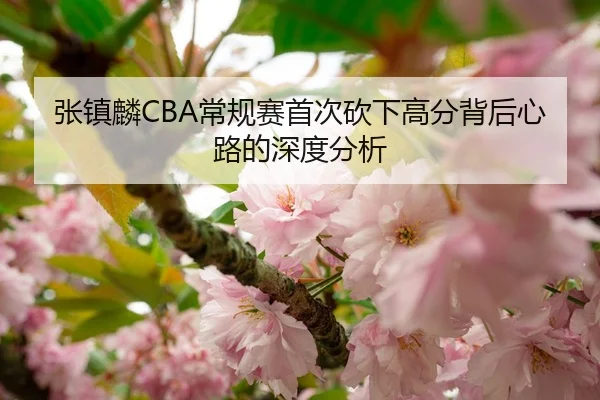 张镇麟CBA常规赛首次砍下高分背后心路的深度分析